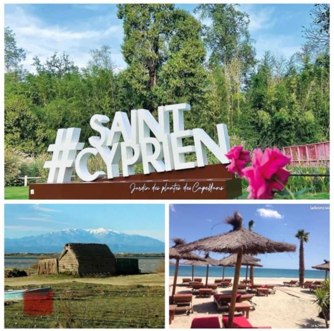 Chez Bastelle Lejlighed Saint-Cyprien  Eksteriør billede